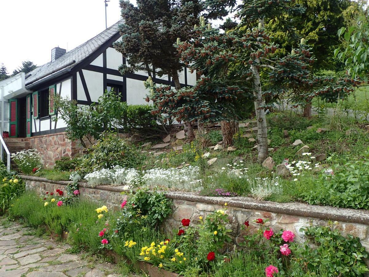 Leisel Vakantiehuis Hunsrueck מראה חיצוני תמונה